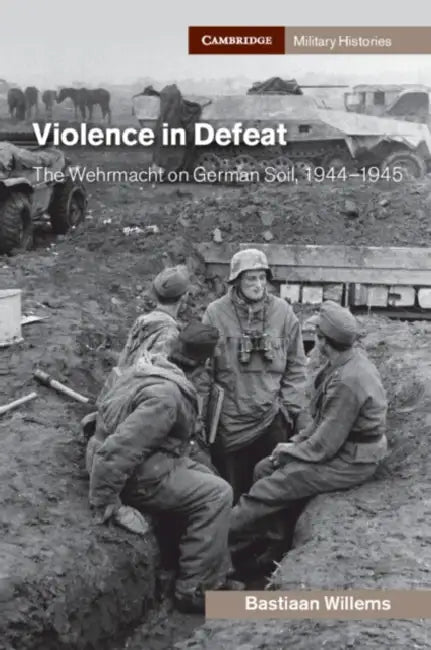 Violence in Defeat by Bastiaan Willems