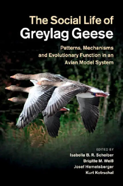 The Social Life of Greylag Geese by Isabella B. R. Scheiber