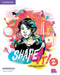 Shape It! Level 2 Workbook by Annie Cornford