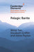 Pelagic Barite by Weiqi Yao