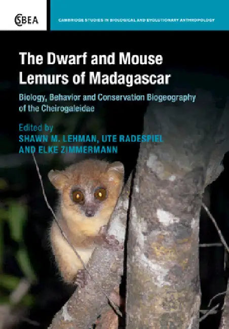 The Dwarf and Mouse Lemurs of Madagascar by Shawn M. Lehman