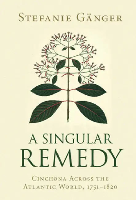 A Singular Remedy by Stefanie Gänger