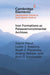 Iron Formations as Palaeoenvironmental Archives by Kaarel Mänd, Leslie J. Robbins, Noah J. Planavsky