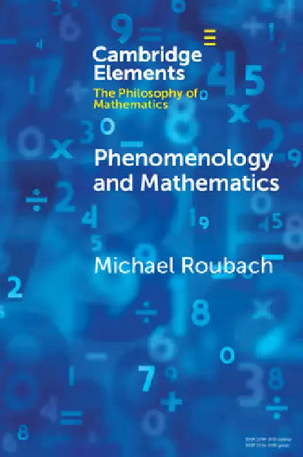 Phenomenology and Mathematics by Michael Roubach