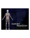 Anatomy & Physiology: Reference for Beauty and Wellness Professionals by Milady
