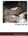 The April Fool Doll by Josephine Scribner Gates