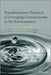 Transformation Products of Emerging Contaminants in the Environment: Analysis, Processes, Occurrence, Effects and Risks by Dimitra A. Lambropoulou