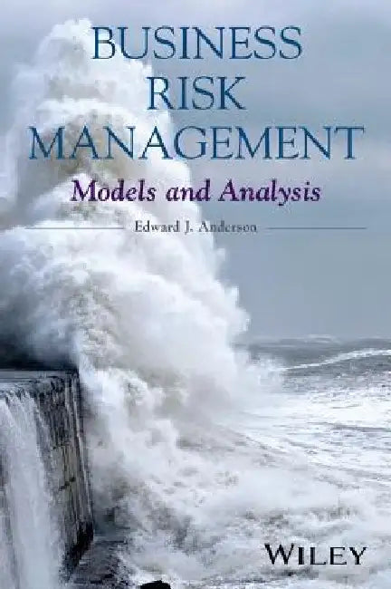Business Risk Management: Models and Analysis by Edward J. Anderson