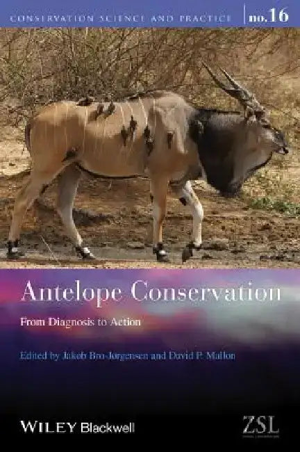 Antelope Conservation: From Diagnosis to Action by Jakob Bro-Jorgensen