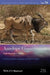 Antelope Conservation: From Diagnosis to Action by Jakob Bro-Jorgensen