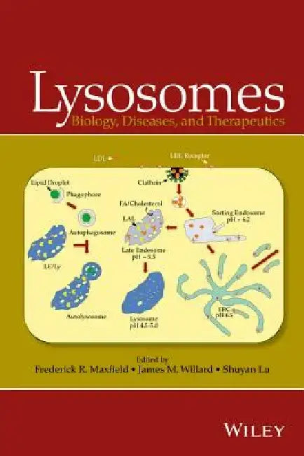 Lysosomes: Biology, Diseases, and Therapeutics by Frederick R. Maxfield