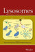 Lysosomes: Biology, Diseases, and Therapeutics by Frederick R. Maxfield