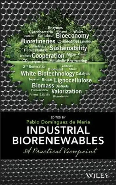 Industrial Biorenewables: A Practical Viewpoint by Pablo Domínguez de María