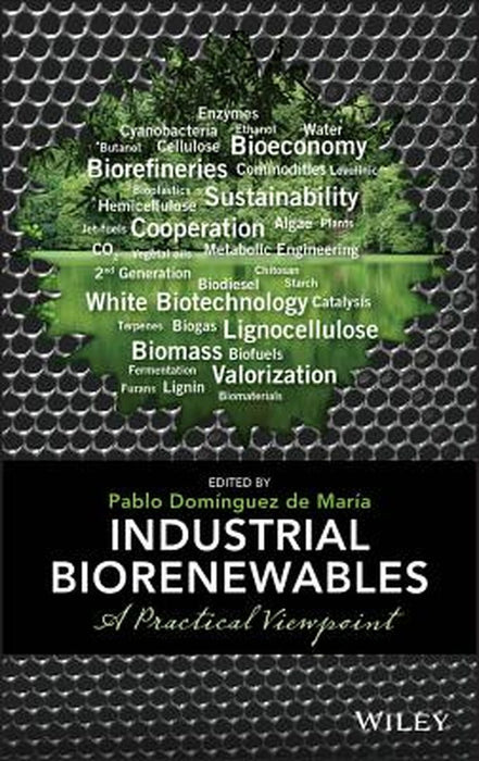 Industrial Biorenewables: A Practical Viewpoint by Pablo Domínguez de María