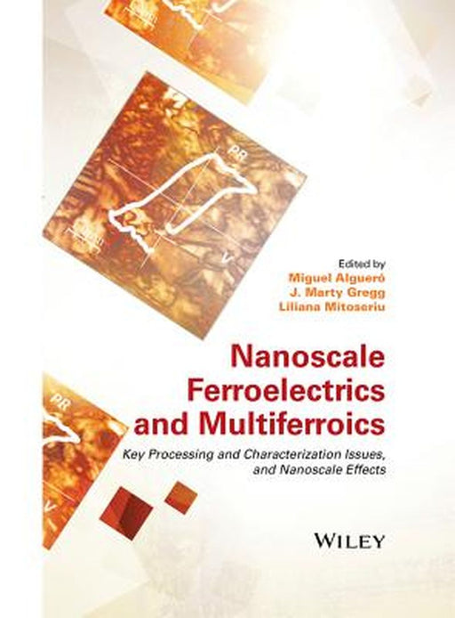 Nanoscale Ferroelectrics and Multiferroics: Key Processing and Characterization Issues, and Nanoscale Effects, 2 Volumes by Miguel Alguero