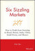 Six Sizzling Markets: How to Profit from Investing in Brazil, Russia, India, China, South Korea, and Mexico by Pran Tiku