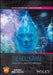 The Hologram: Principles and Techniques (Wiley - IEEE) by Richardson, Martin J.