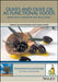 Olives and Olive Oil as Functional Foods: Bioactivity, Chemistry and Processing by Apostolos Kiritsakis