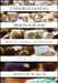 Understanding Behaviorism by William M. Baum