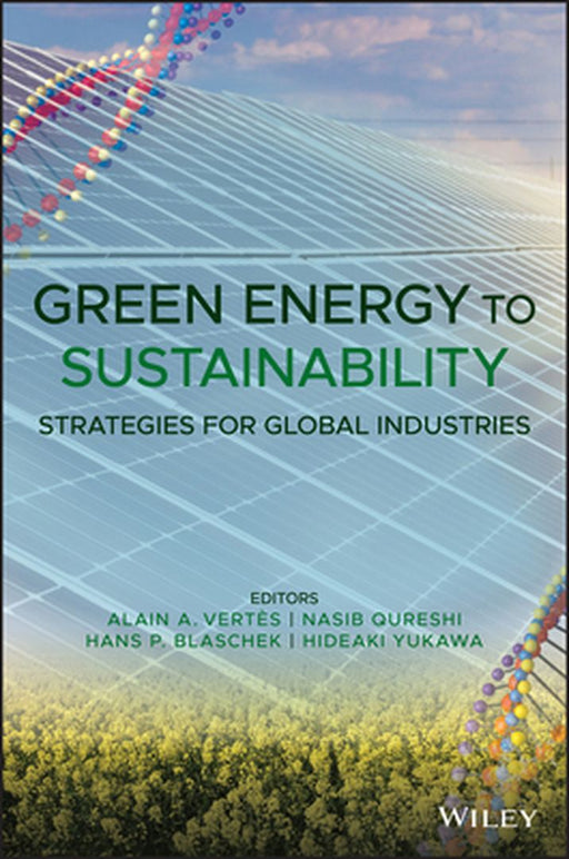 Green Energy to Sustainability: Strategies for Global Industries by Alain A. Vertes