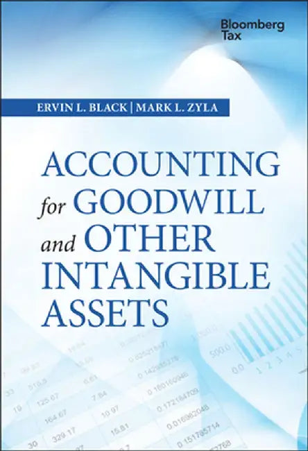 Accounting for Goodwill and Other Intangible Assets by Ervin L. Black