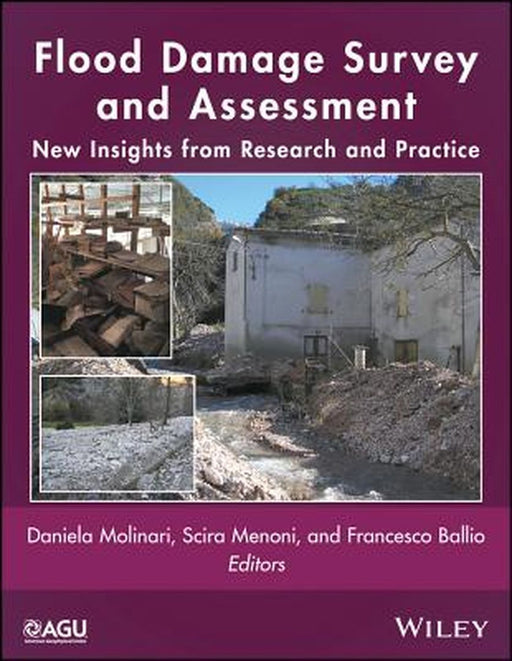 Flood Damage Survey and Assessment: New Insights from Research and Practice by Scira Menoni, Francesco Ballio