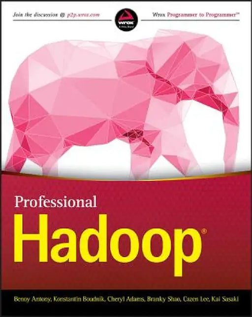 Professional Hadoop by Benoy Antony