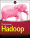 Professional Hadoop by Benoy Antony