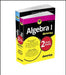 Algebra I Workbook for Dummies with Algebra I for Dummies 3e Bundle by Mary Jane Sterling