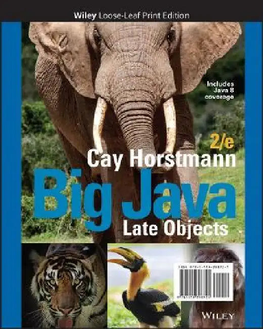 Big Java: Late Objects, 2nd Edition by Cay S. Horstmann