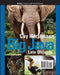 Big Java: Late Objects, 2nd Edition by Cay S. Horstmann