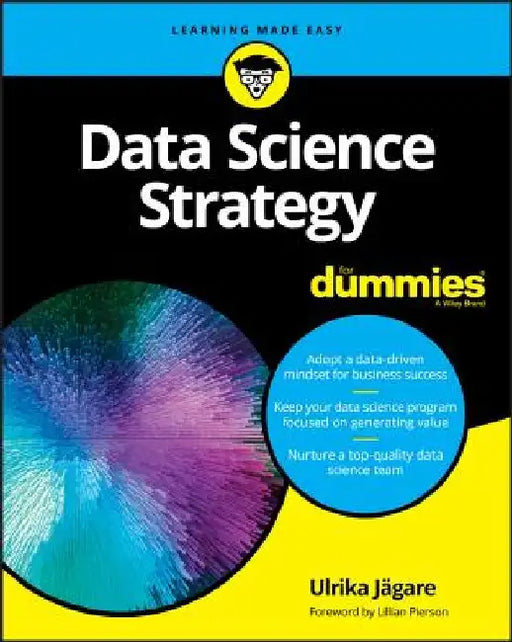 Data Science Strategy for Dummies by Eugene Dubossarsky