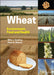 Wheat: Environment Food And Health by GOODING