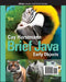 Brief Java: Early Objects, 9th Edition by Cay S. Horstmann