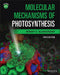 Molecular Mechanisms of Photosynthesis by Robert E. Blankenship