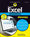 Excel Workbook for Dummies by Paul McFedries