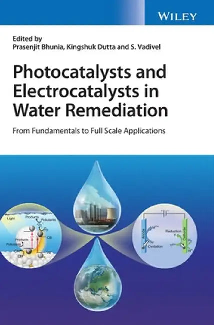 Photocatalysts and Electrocatalysts in Water Remediation: From Fundamentals to Full Scale Applications by Prasenjit Bhunia