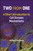 Two from One by Michael Polymenis