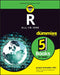 R All-In-One for Dummies by Joseph Schmuller