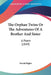 The Orphan Twins Or The Adventures Of A Brother And Sister: A Poem (1849) by David Bigler