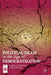 Political Islam in the Age of Democratization by K. Bokhari