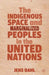 The Indigenous Space and Marginalized Peoples in the United Nations by J. Dahl
