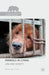 Animals in China: Law and Society by Deborah Cao