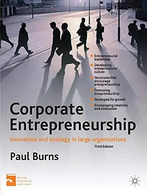 Corporate Entrepreneurship by Paul Burns