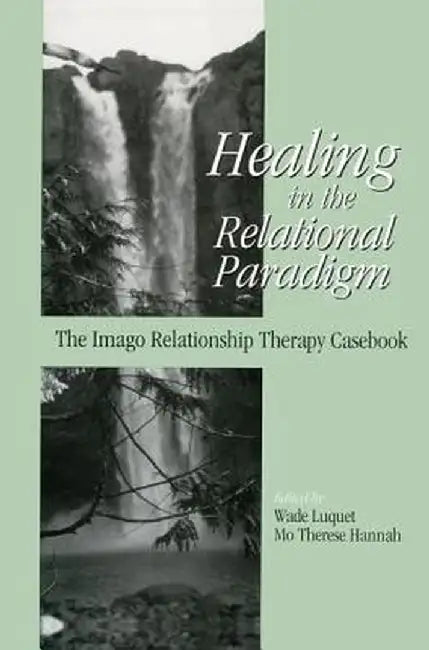 Healing in the Relational Paradigm: The Imago Relationship Therapy Casebook by Wade Luquet