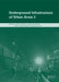 Underground Infrastructure of Urban Areas 3 [With CDROM] by Cezary Madryas