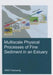 Multiscale Physical Processes of Fine Sediment in an Estuary by Yuanyang Wan