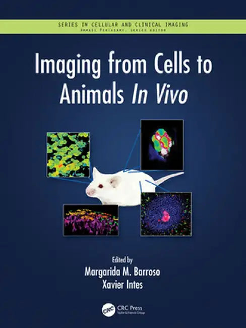 Imaging from Cells to Animals in Vivo by Margarida Barroso