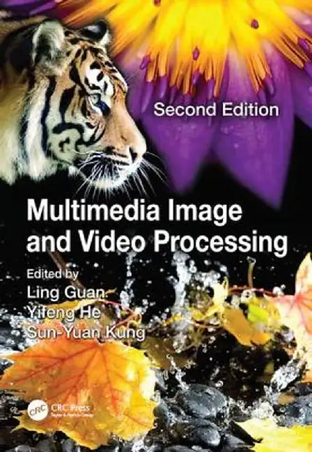 Multimedia Image and Video Processing by Ling Guan