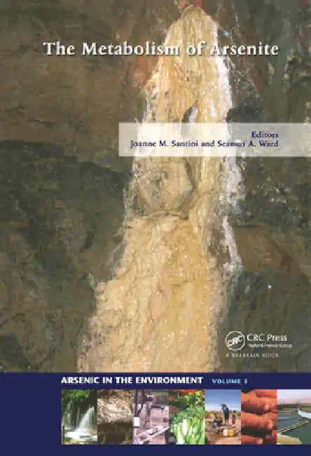 The Metabolism of Arsenite by Joanne M. Santini